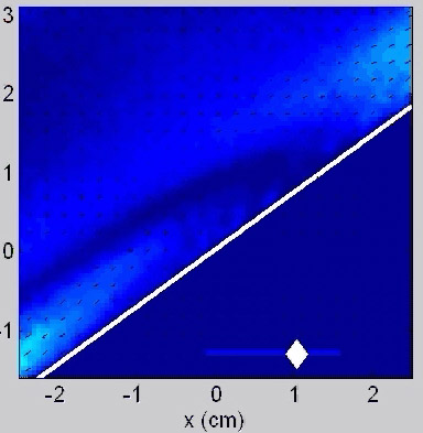 PIV results of a resonant wave