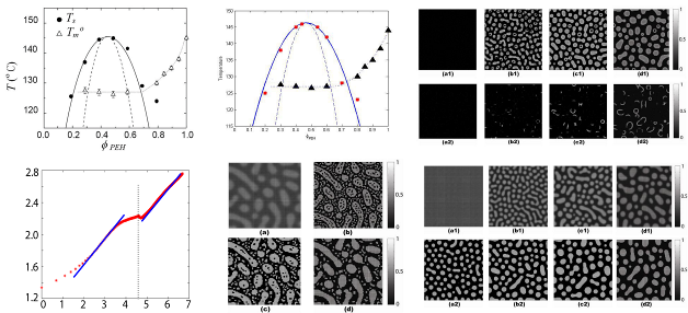 Phase Separation Dynamics Of Polymer Systems | Douglas Zhou (周栋焯)